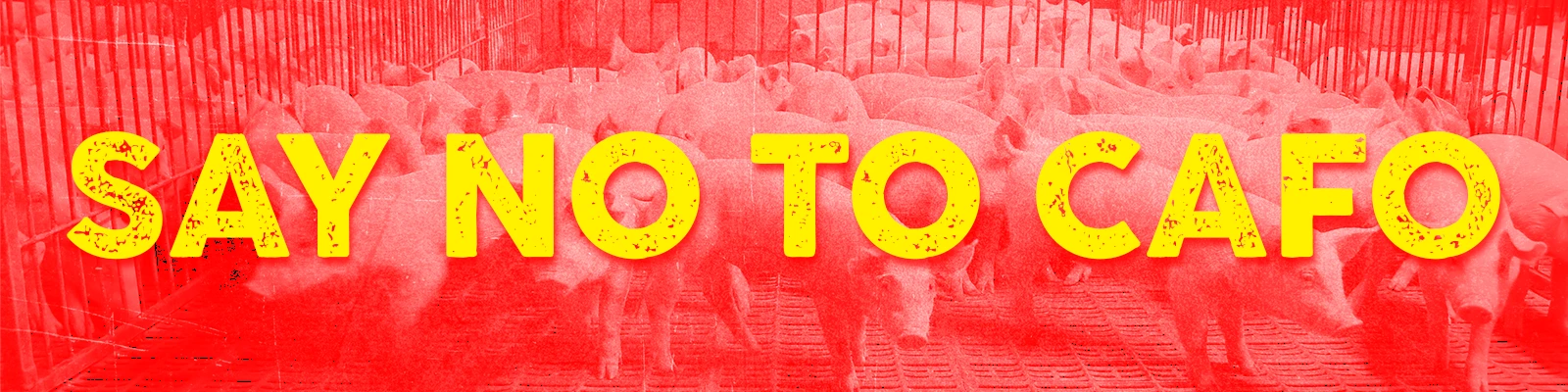 Say No to CAFO